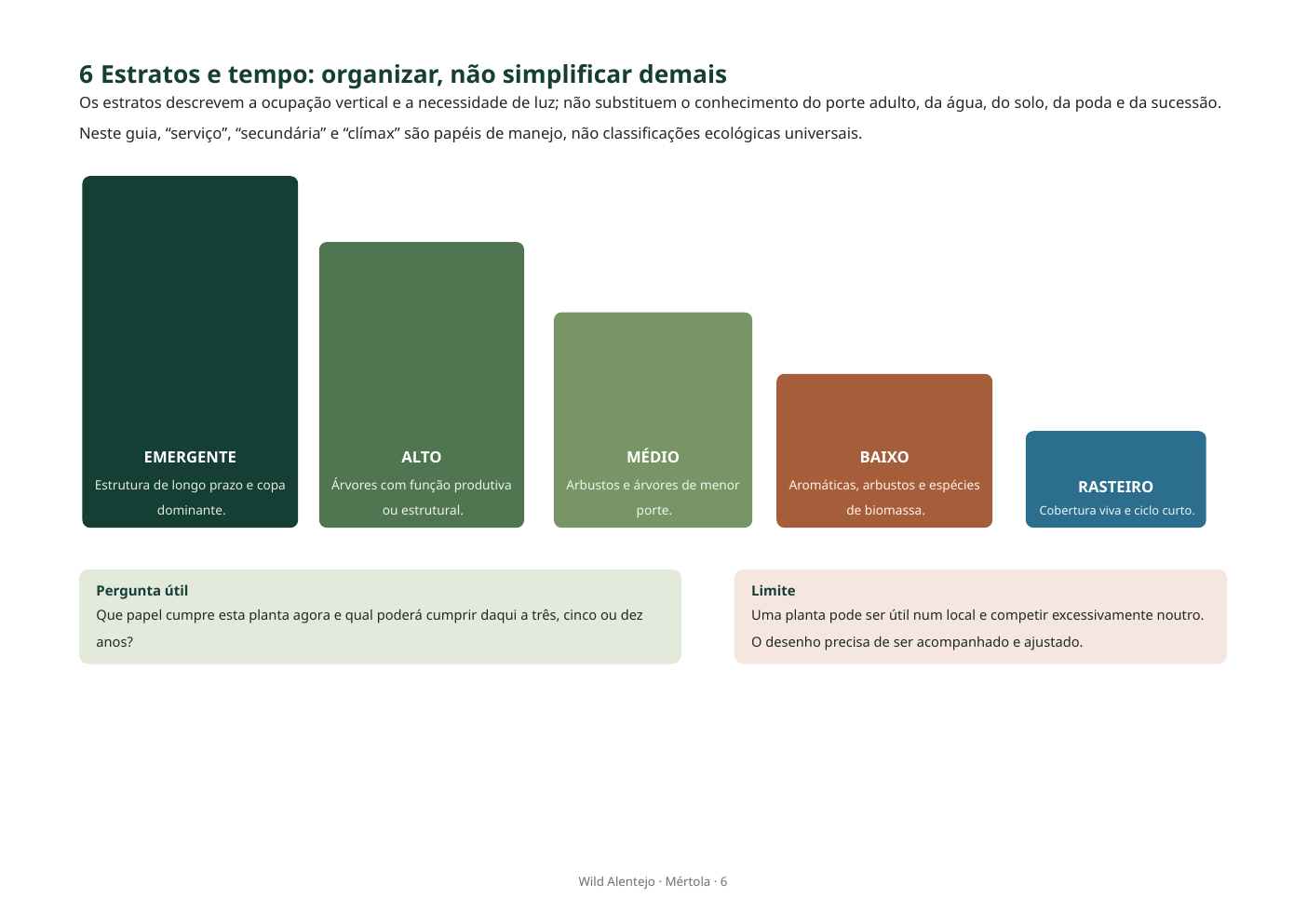 Página interior do guia com os estratos emergente, alto, médio, baixo e rasteiro
