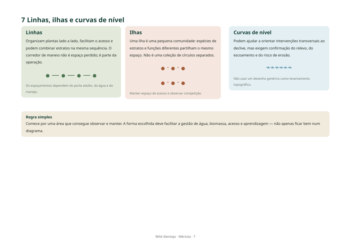 Página interior do guia sobre linhas, ilhas e curvas de nível